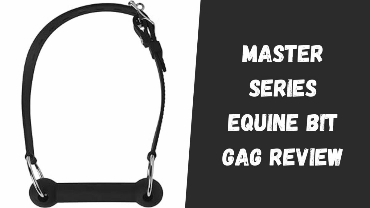 Master Series Equine Bit Gag Review